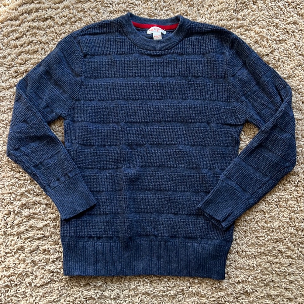 Cat & Jack sweater